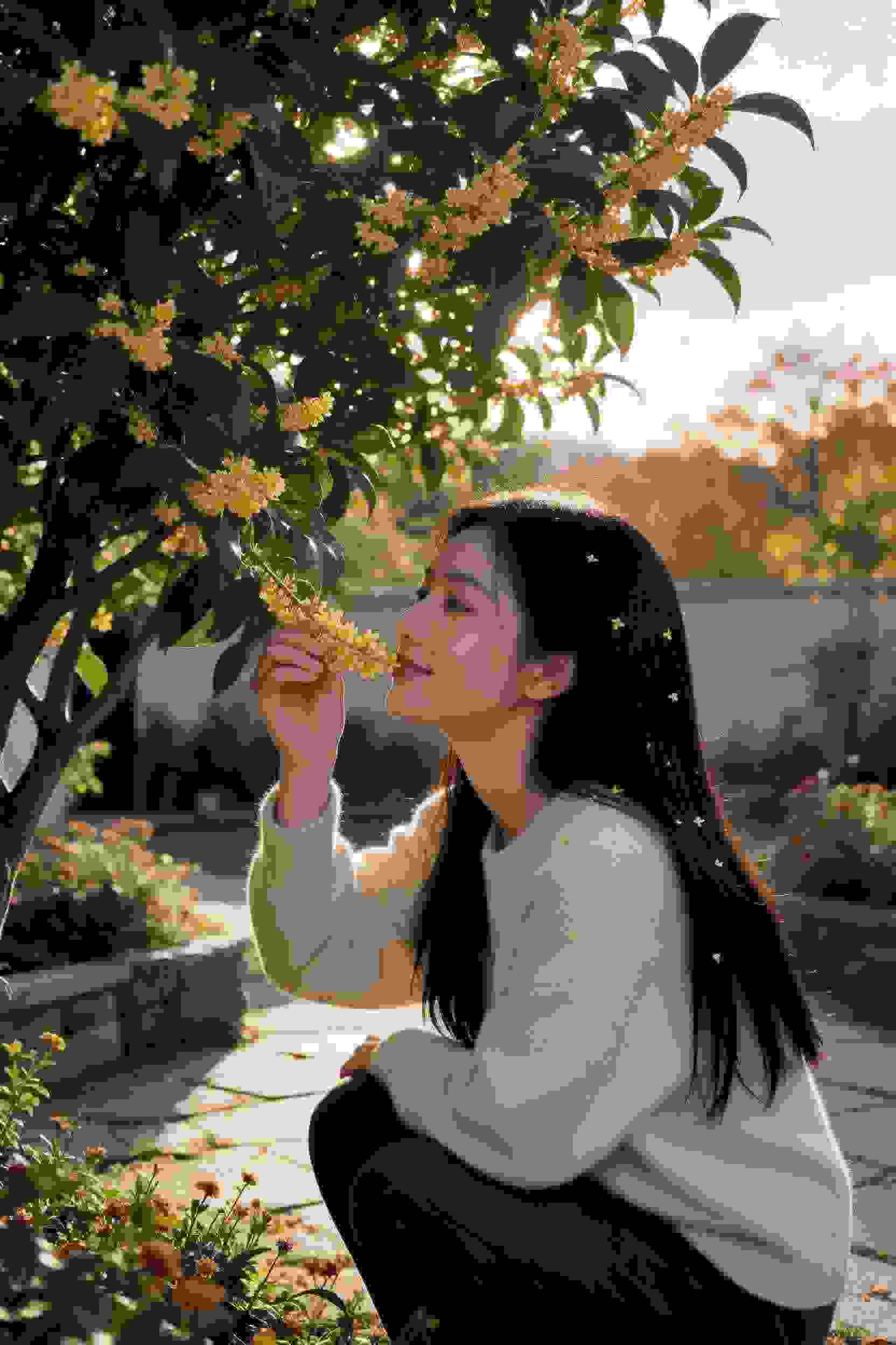 如梦令